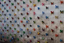 wall artwork butterflies Art HD Wallpaper